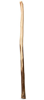 Heartland Didgeridoo (HD289)